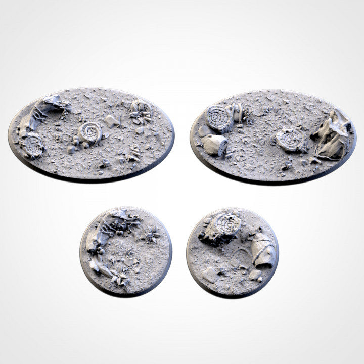 Forest Bases (Round) image