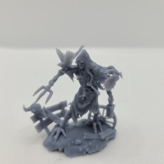 Picture of print of Haunted Scarecrow 75mm pre-supported