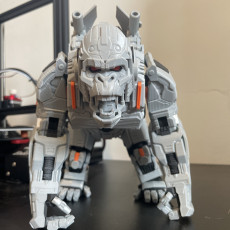 Picture of print of Mecha King Kong