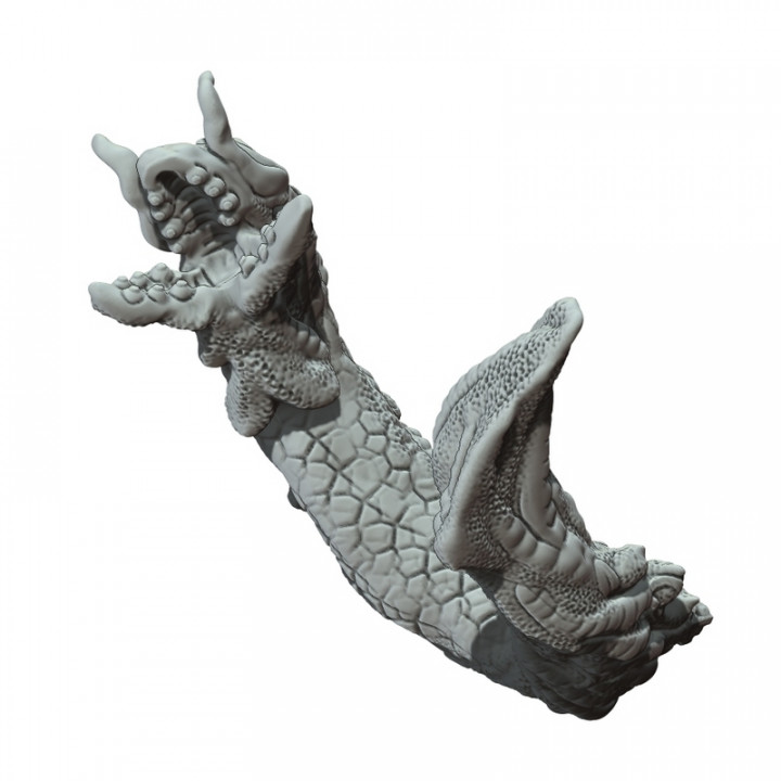 Sea Dragon image