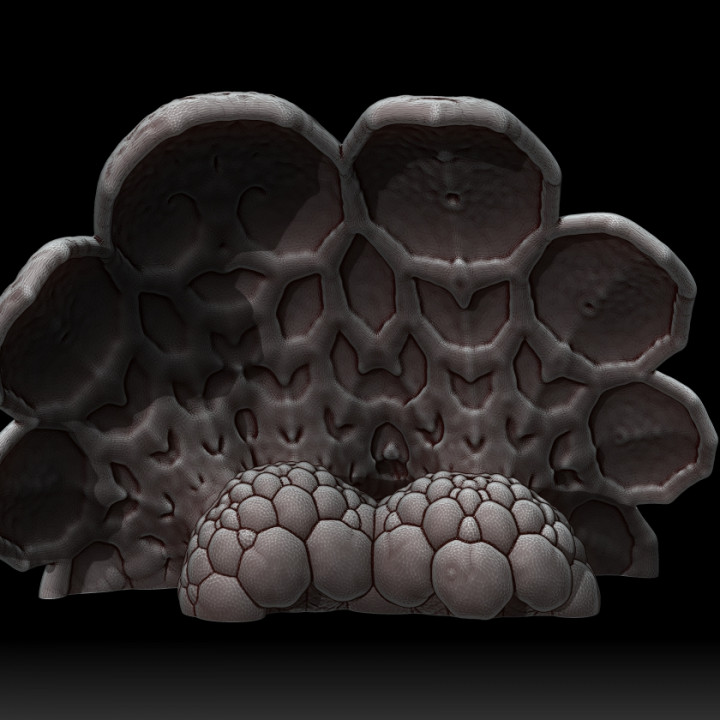 Mushrooms and Terrain for the Underdark image