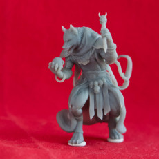 Picture of print of Coyote Necromancer - Tabletop Miniature (Pre-Supported)