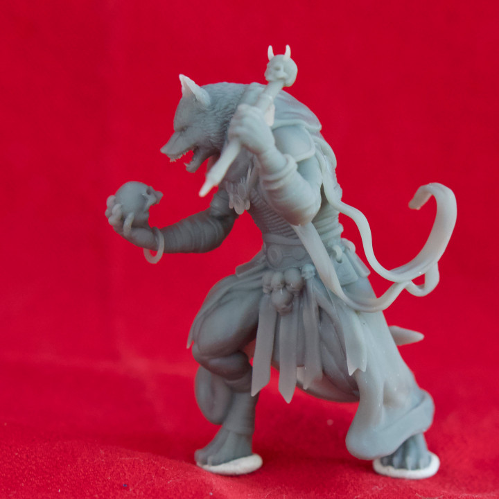 Coyote Necromancer - Tabletop Miniature (Pre-Supported) image