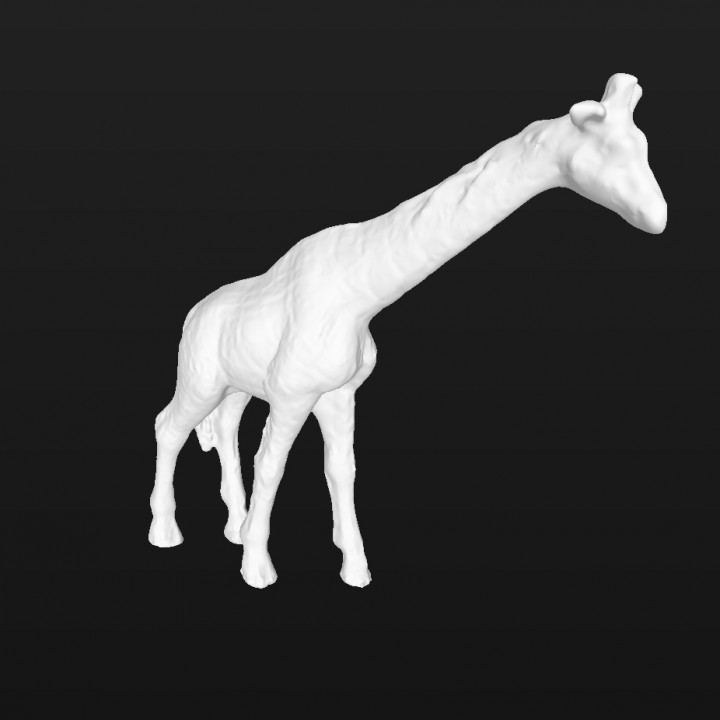 GIRAFFE (GENERATED BY REVOPOINT POP) image