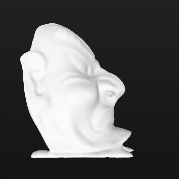 GHOST MASK (GENERATED BY REVOPOINT POP) image