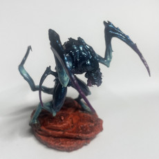 Picture of print of Alien Shadow Hunter