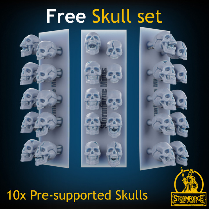 3D Printable Skull Set x10 !FREE! !SUPPORTED! by Miniatures