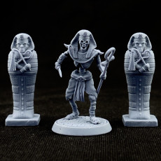 Picture of print of Egypt Pharaoh Sarcophagus 32mm and 75mm pre-supported