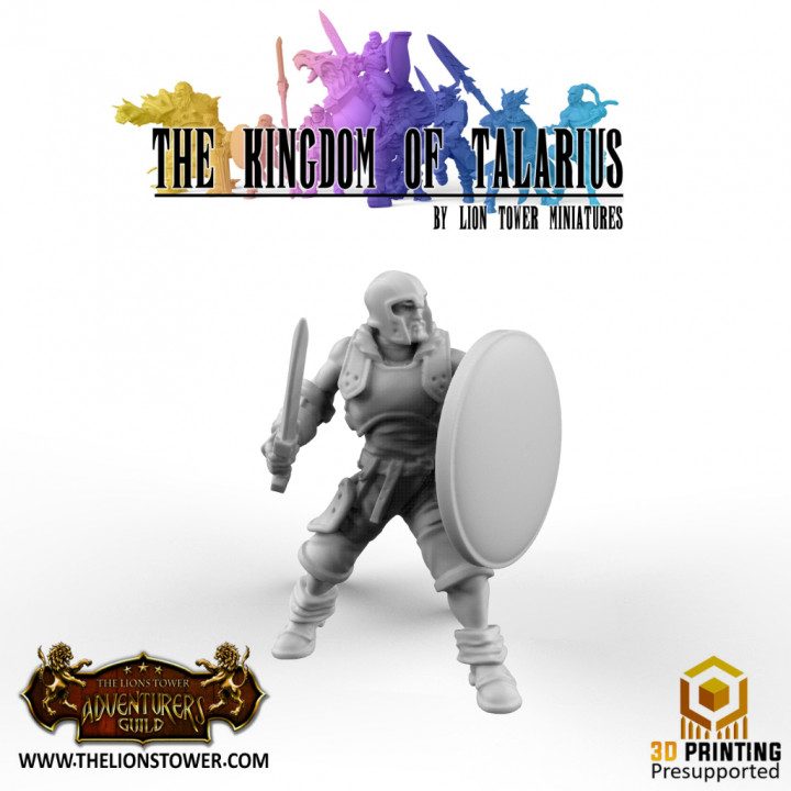 Kingdom of Talarius - Kickstarter Freebie Set 1 (presupported) image