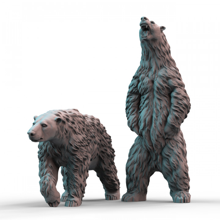 Polar Bears (pre-supported) image