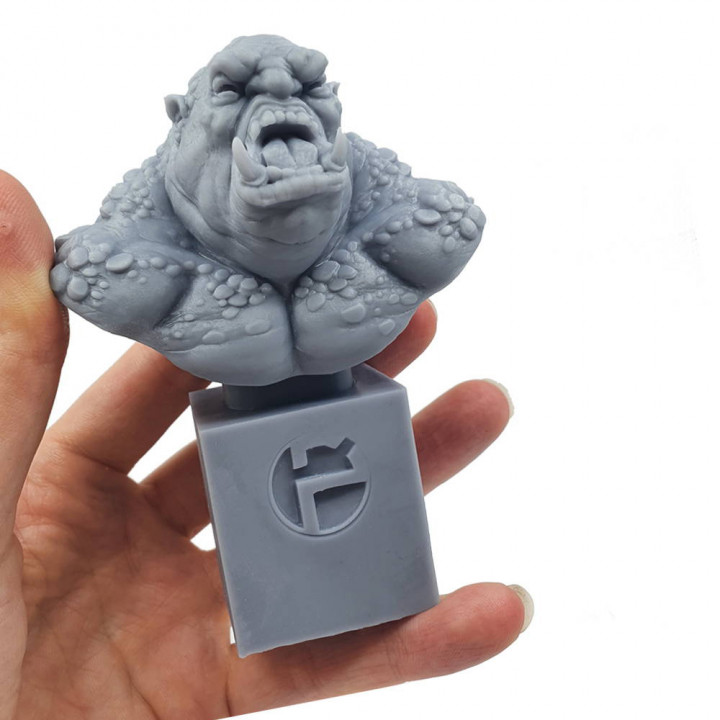 Mountain Troll Bust (pre-supported)