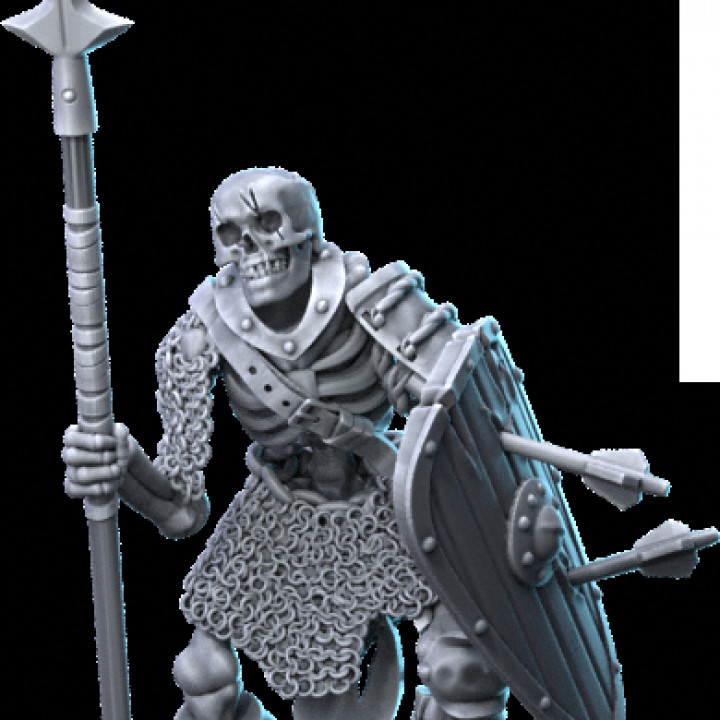 Skeleton Warriors image