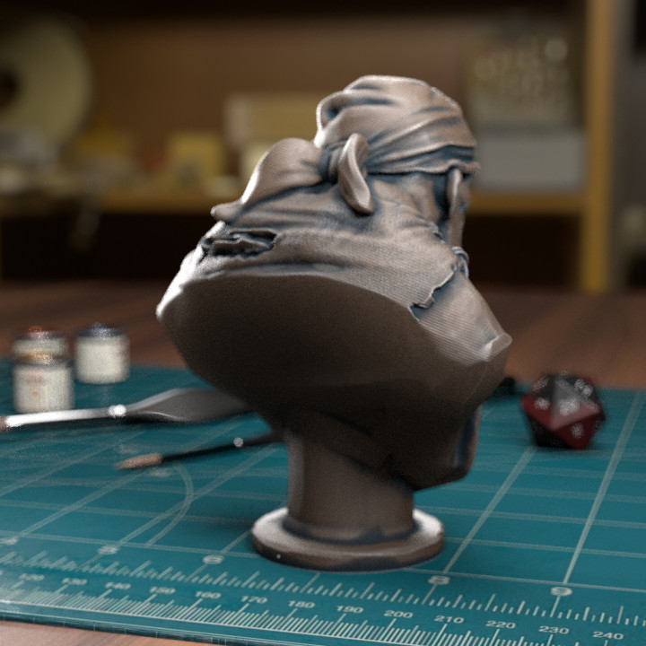 Pirate Bust [Pre-Supported] image