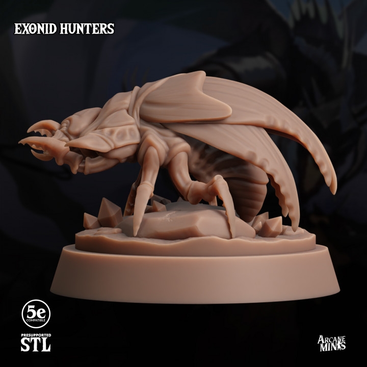 Exonid Hunters image