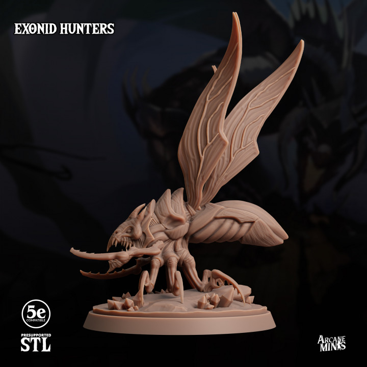 Exonid Hunters image