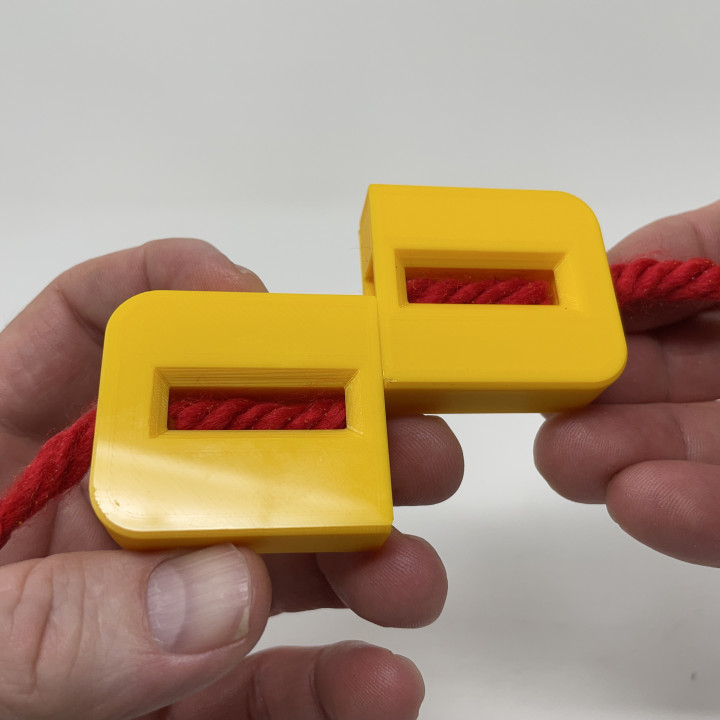 3D Printed Rope Puzzler image