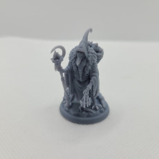 Picture of print of Kenku Druid 75mm Pre-supported + dnd 5e stats block