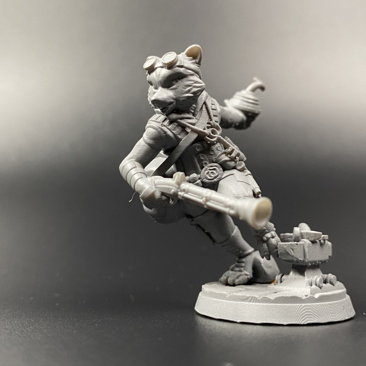 Raccoon Artificer - Presupported image