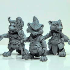 Picture of print of Racoon Folk Druids (pre supported)