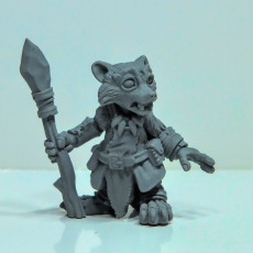 Picture of print of Racoon Folk Druids (pre supported)