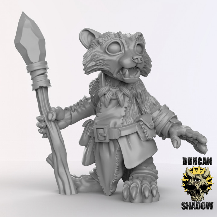 Racoon Folk Druids (pre supported) image