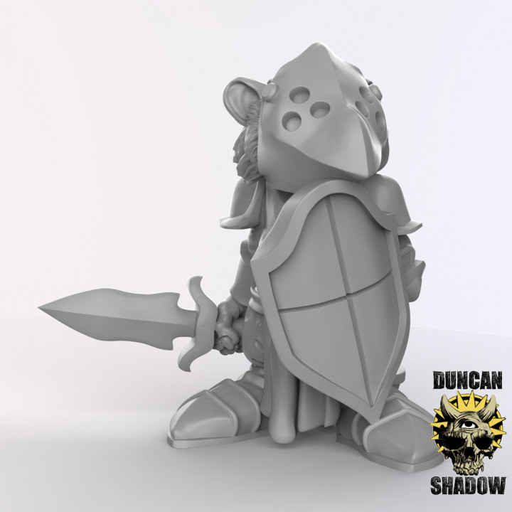 Racoon Folk Knights (pre supported) image