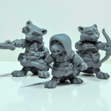 Picture of print of Racoon Folk Rogues (pre supported)