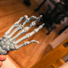 Picture of print of Bone Hand Free STL
