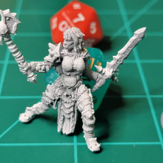 Picture of print of (0007) Female human elf half-orc tiefling barbarian with sword and axe