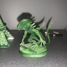 Picture of print of ALIEN DEADLY SHREDDER