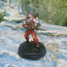 Picture of print of HUMAN SPACE MARINE JAKE ROBERTS ACTIVE