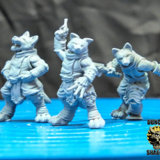 Picture of print of Kitsune Fox folk Rogues (pre supported)