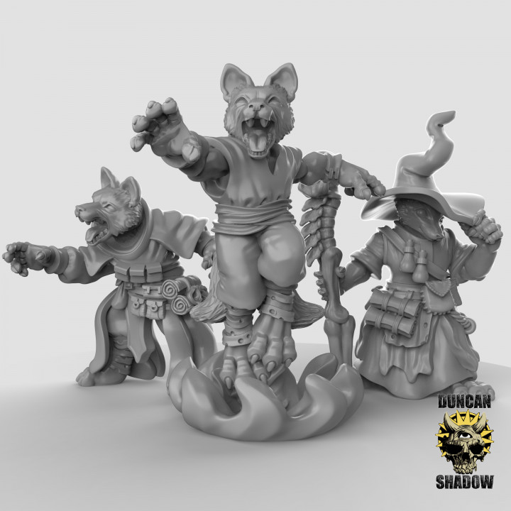 Kitsune Fox Folk Sorcerers (pre supported) image