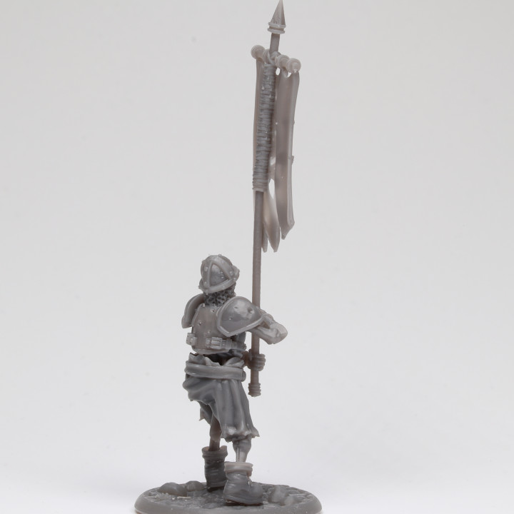Skeletal Soldier - Banner Holder image