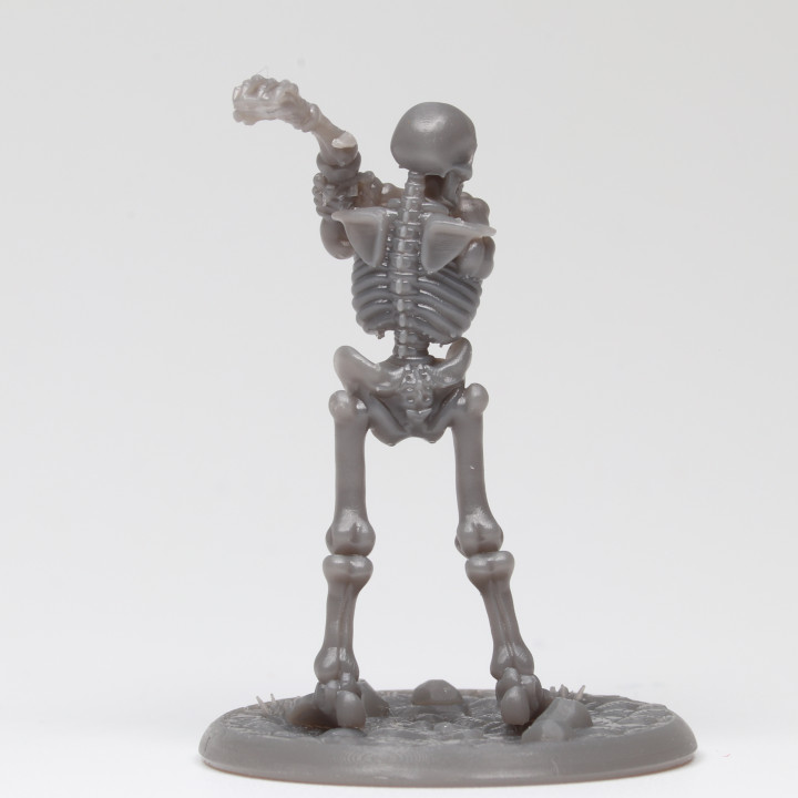 Graveyard Skeleton - Backhand image