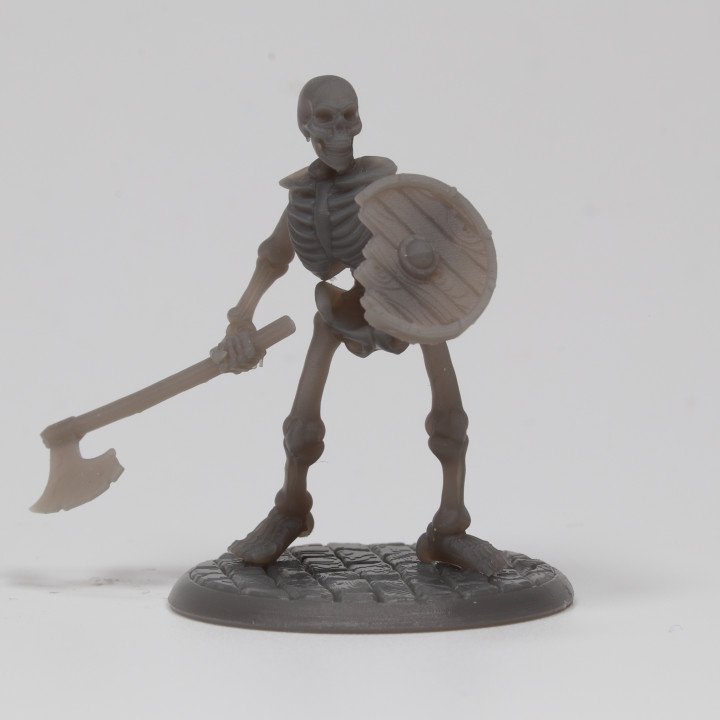 Skeleton - Axe and Shield image