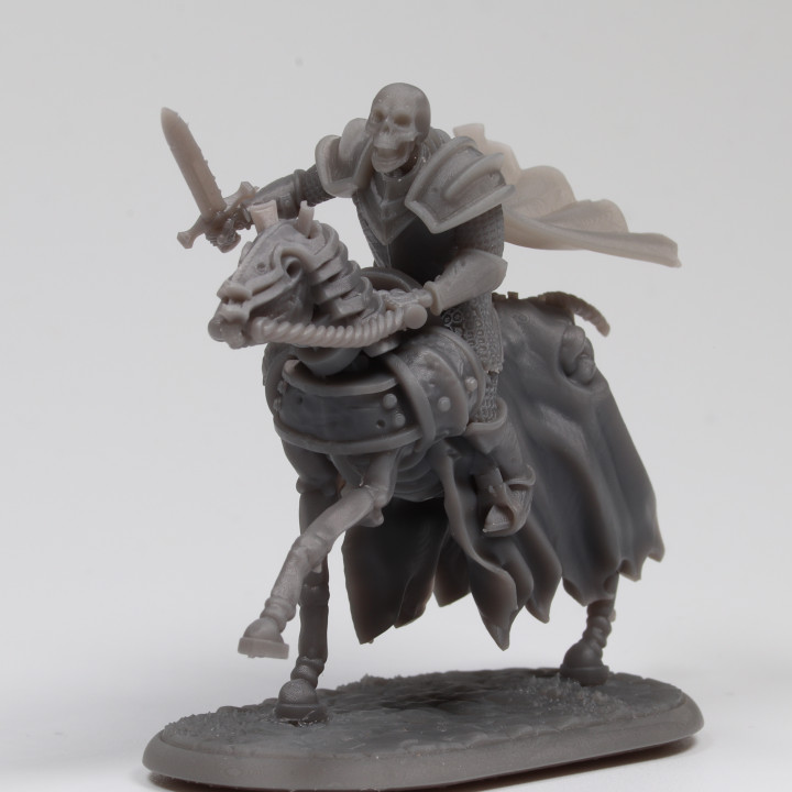 Skeletal Army - Officer Cavalry image