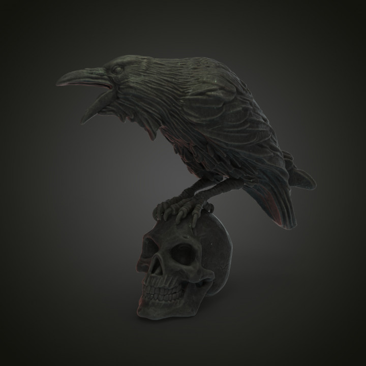 Raven Skull - Miniature image