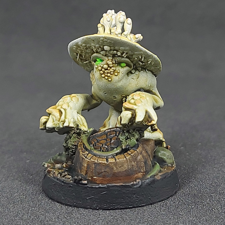 Shroomfolk A - 14, Pre-Supported image