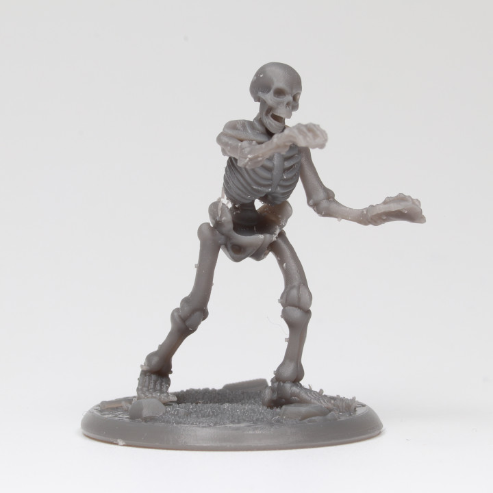 Skeletal Army Bundle image