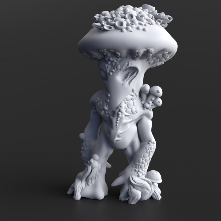 Shroomfolk A - 16, Pre-Supported image