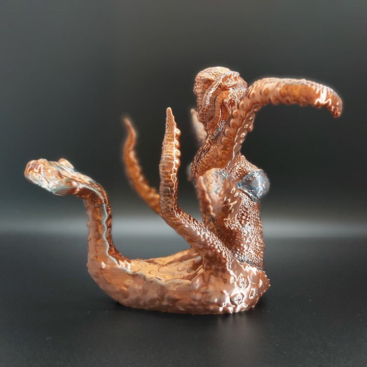 Cecaelia, Octopus Mermaid image
