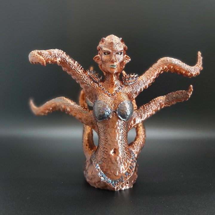 Cecaelia, Octopus Mermaid image