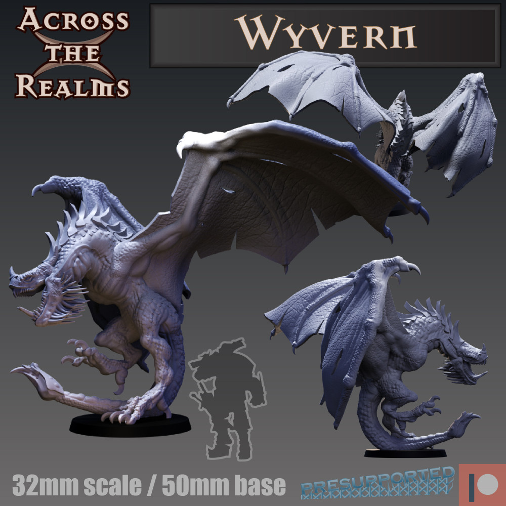 1000X1000-wyvern-36.jpg