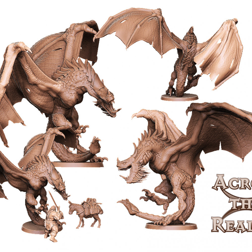 ミドルエイジ　wyvern 1枚 3D Printable Wyvern by Across the Realms