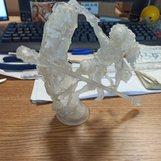 Picture of print of Wukong climb