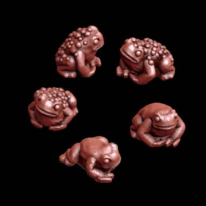 Toads image