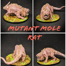 Picture of print of Mole Rats (Pre Supported)