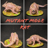 Mole Rats print image