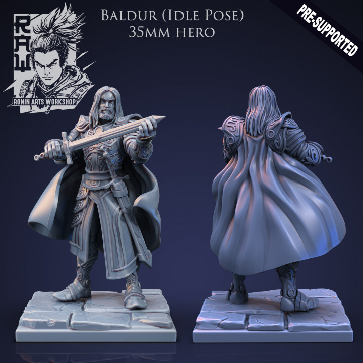 Baldur The Fighter - Idle and Action Pose image